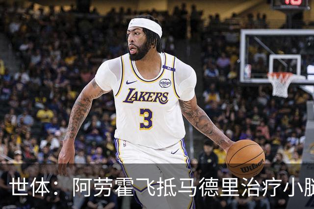 世体：阿劳霍飞抵马德里治疗小腿伤势，乌拉圭目标让其出战西班牙