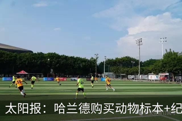 太阳报：哈兰德购买动物标本+纪念品并为队友买单，花费约1万美元