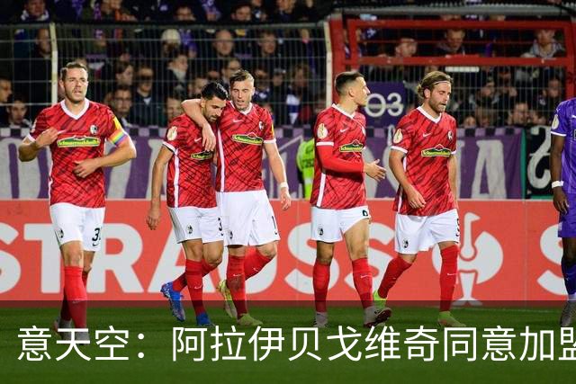 意天空：阿拉伊贝戈维奇同意加盟亚特兰大，勒沃库森要价3000万欧