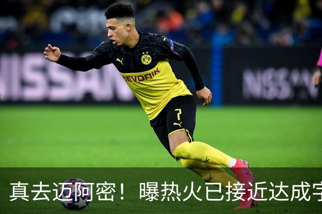 真去迈阿密！曝热火已接近达成字母哥交易