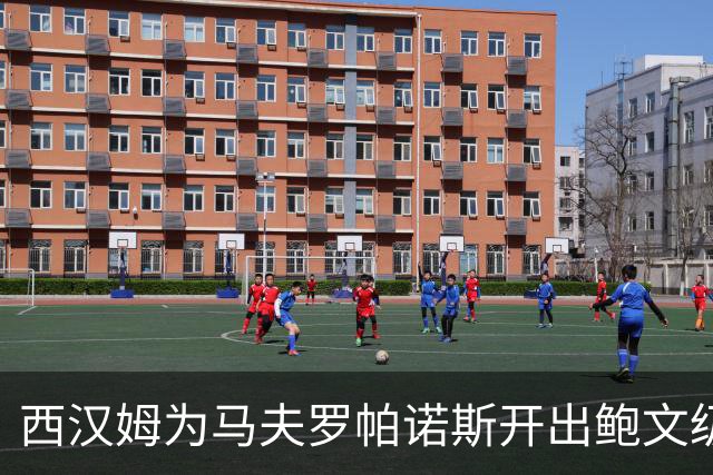 西汉姆为马夫罗帕诺斯开出鲍文级合同，下赛季无缘英超成续约最大变数